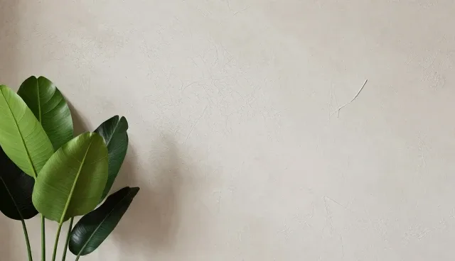 成本控制中的检查要点及维护建议